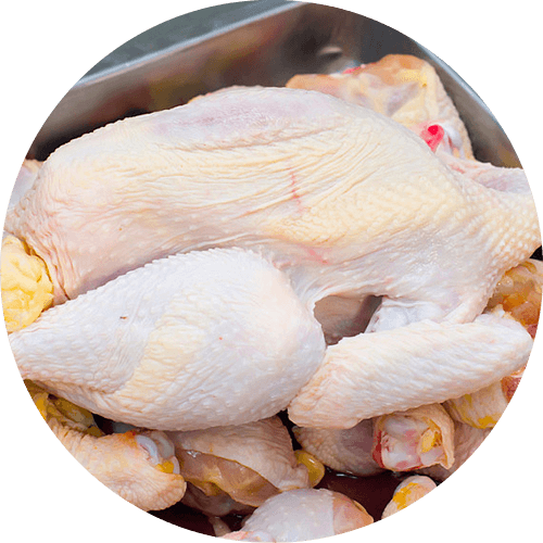 Chicken 2
